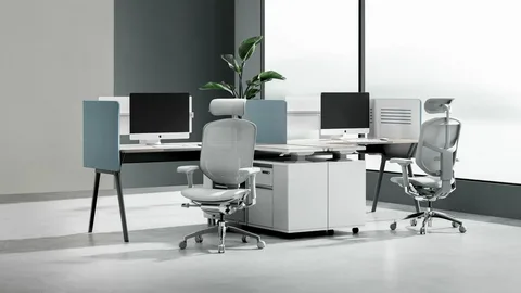 ROI on Ergonomic Office Furniture